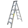 Two-in-one Ladder